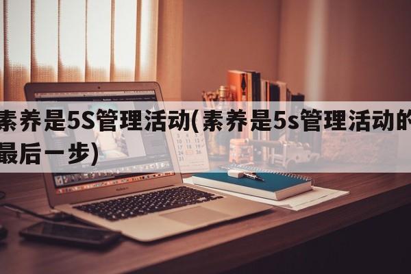 素养是5S管理活动(素养是5s管理活动的最后一步)